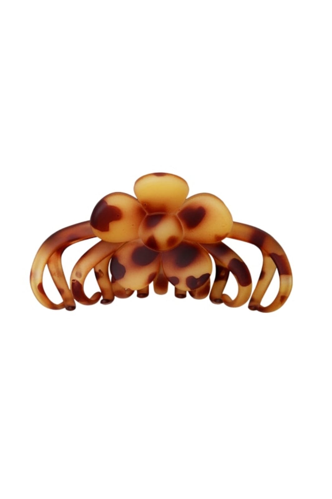 Black Colour - Bclua Hair Claw - Glossy Leo Hårspænder
