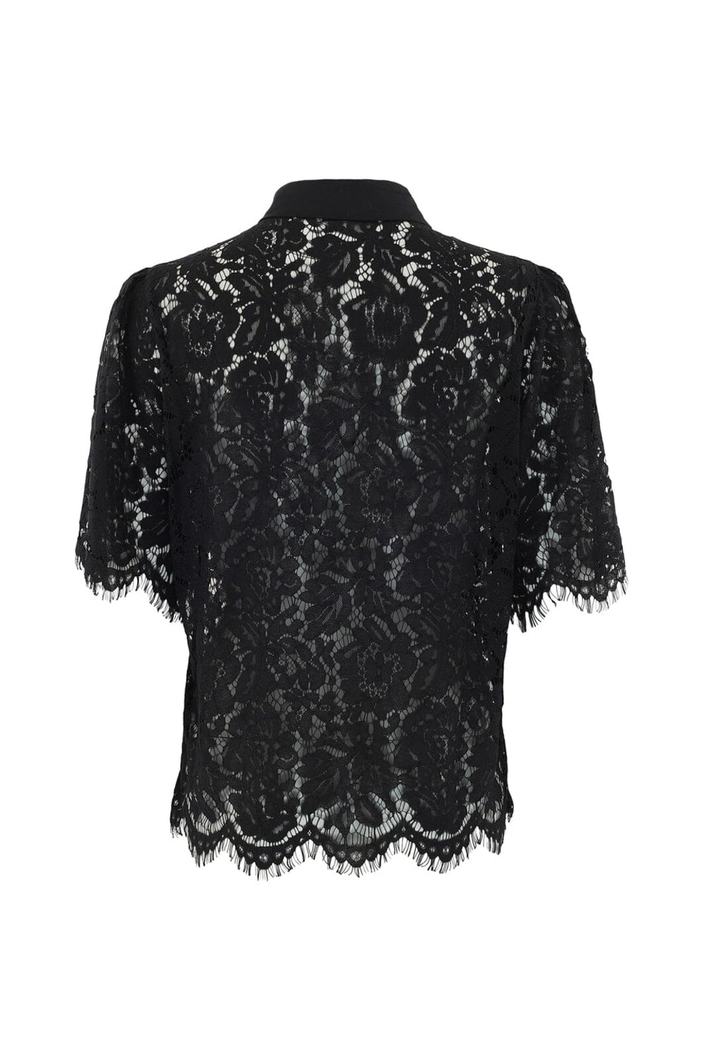 Continue - Paloma Lace 14992 - 01 - Black