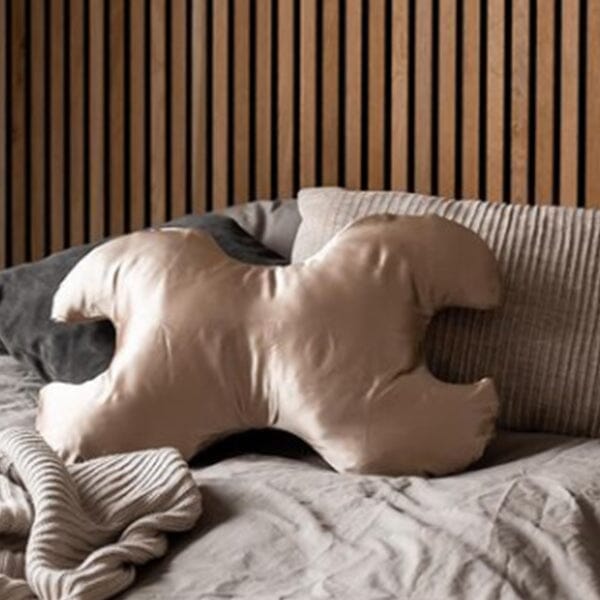 Save My Face - Betræk til Le Grand 100% silke Bronze Pudebetræk