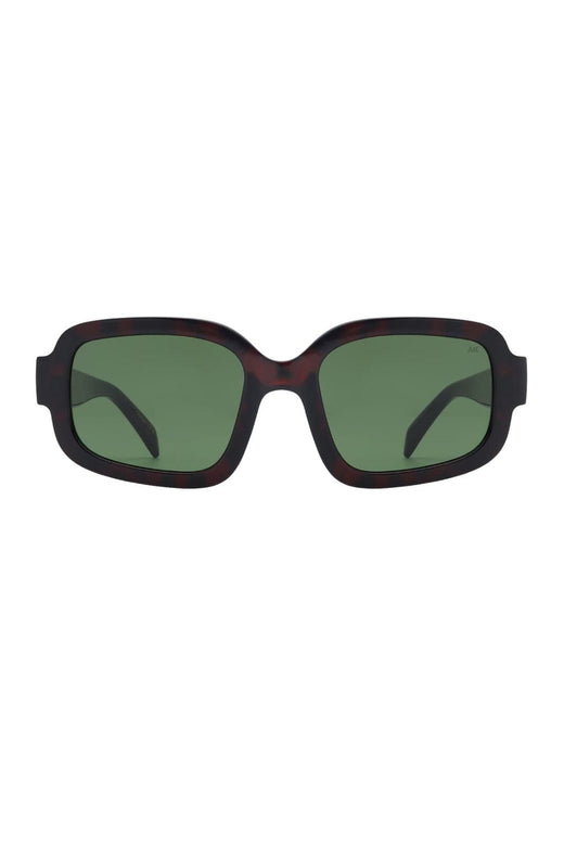 A. Kjærbede - Pluto KL2606 - Demi Tortoise Solbriller 