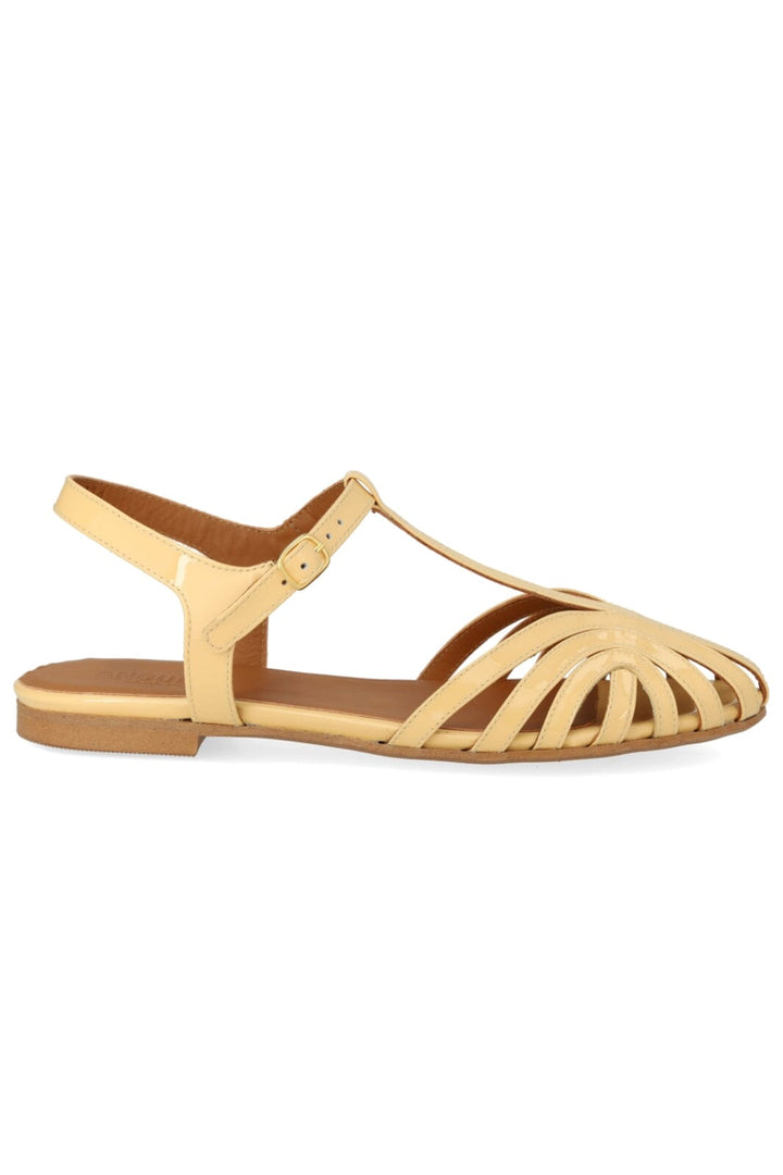 ANGULUS - 5841-101 - Mellow Yellow