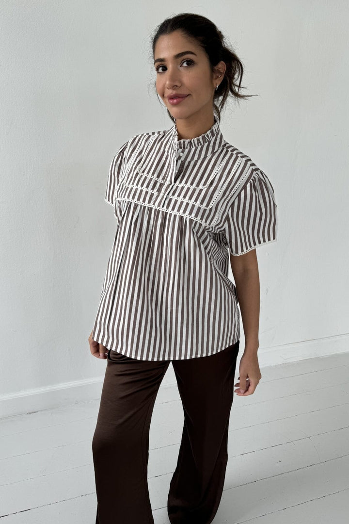 Continue - Isabella Brown S 14951 - Brown Stripe