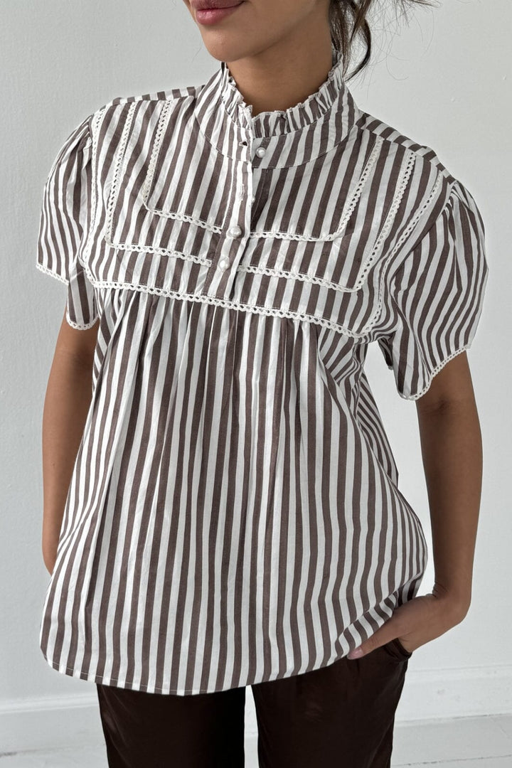 Continue - Isabella Brown S 14951 - Brown Stripe