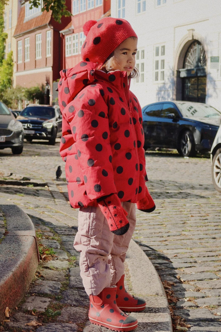 Konges Sløjd - Nuka Ladybug Jacket Grs Ks103524 - Lady Dot