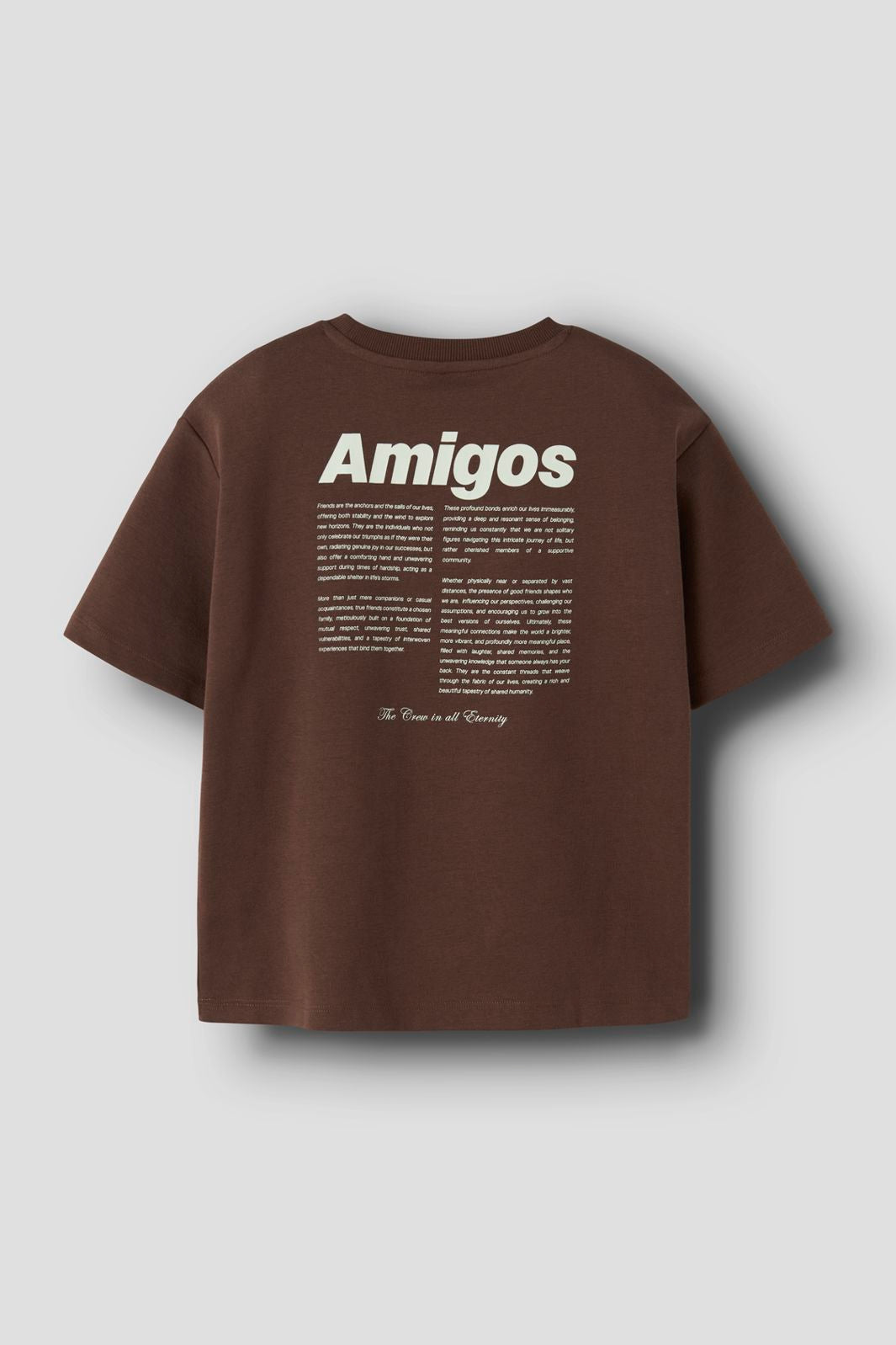 Name It - Nkmholle Ss Rlx Top Box - 4997394 Chestnut