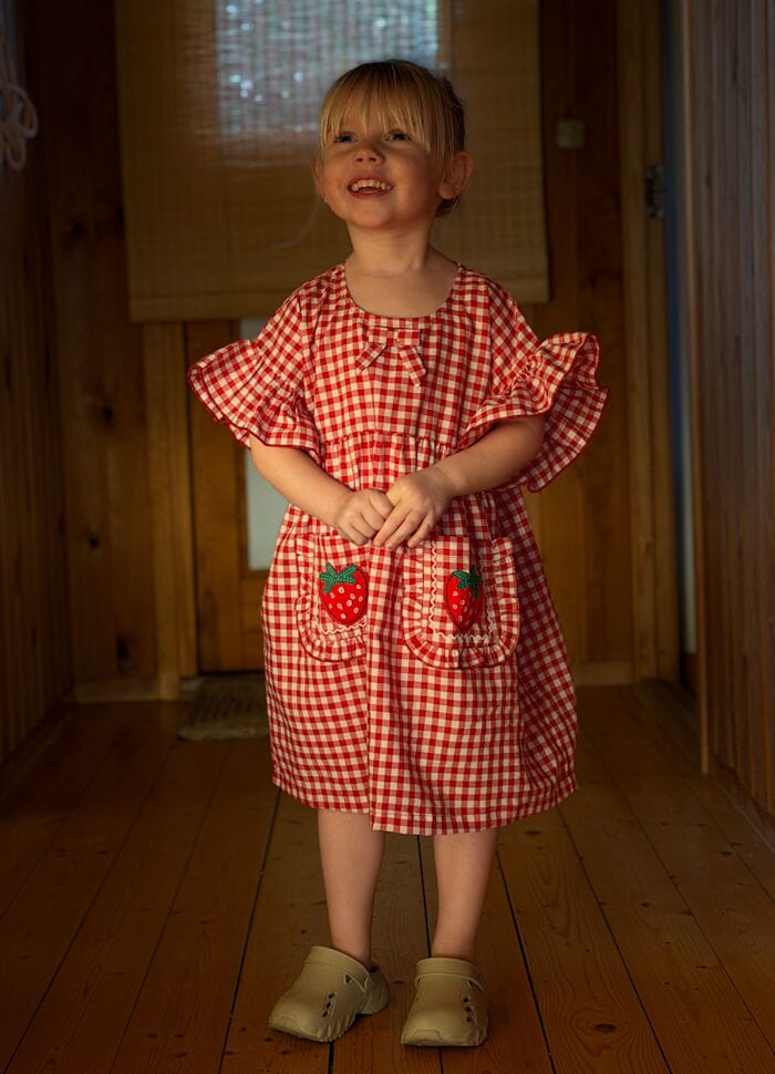 Sissel Edelbo - Ohio MINI Dress SE 1865 - Red Checks Kjoler 