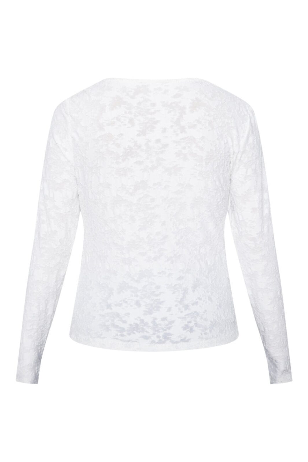 Sisters Point - Vieda-Ls 19154 - 115 - Cream